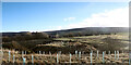 NY8210 : Barn above Hilton Gill by Andy Waddington