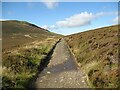 NY2830 : The Cumbria Way near Candleseaves Bog by Adrian Taylor