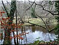 NZ0851 : On the banks of the Derwent in winter by Robert Graham