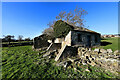 SE1189 : Overgrown barn south of Leyburn by Andy Waddington