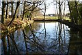 SP0345 : Pool near Abbey Manor by Philip Halling