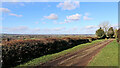 SO7692 : Byway and farmland near Woundale in Shropshire by Roger  D Kidd