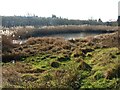 SK5744 : Pond in Valley Road Park by Alan Murray-Rust