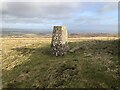 NZ0507 : How Tallon Trig Point by David Robinson