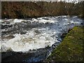 NS5475 : White water on the Allander Water by Richard Sutcliffe