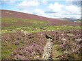 NY2929 : The Cumbria Way near Skiddaw House by Adrian Taylor