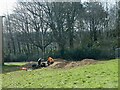 ST2986 : Replacing felled trees, Gaer Estate, Newport  by Robin Drayton