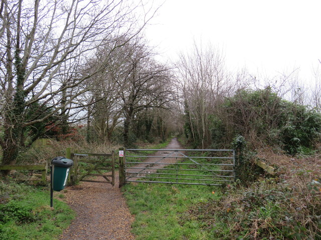 Upton Trailway, near Poole