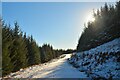 NC7912 : Forestry Track at Cnoc Cille Pheadair, Strath Brora, Sutherland by Andrew Tryon