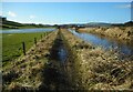 NS5772 : The Allander Walkway by Richard Sutcliffe