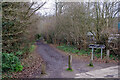 SU6477 : Muddy Lane, Whitchurch-on-Thames by Stephen McKay