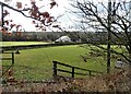 NZ2145 : View across to Wallnook from Front Street, Langley Park by Robert Graham