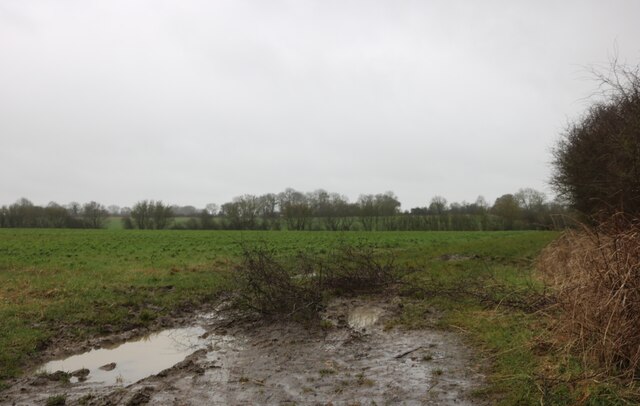 Field by Mill Lane, Anstey