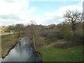 SY1198 :  River Otter at Fenny Bridges by Anthony Vosper