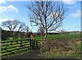 NZ1945 : Path to Blackburn from the railway walk by Robert Graham