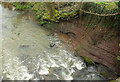 SX8499 : River cliff, Kersford Bridge by Derek Harper