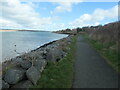 SH4863 : Lon Las Menai, leaving Caernarfon by Christine Johnstone