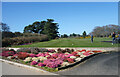 TM4659 : Heather at the Golf Club by Des Blenkinsopp