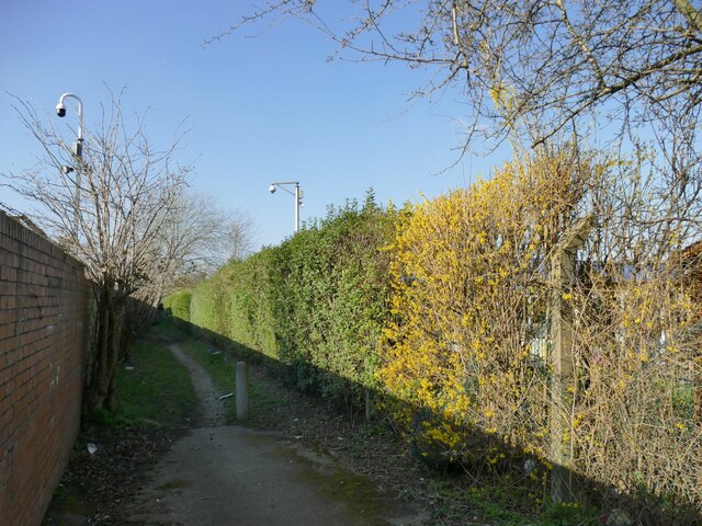 Path to the west of SILC