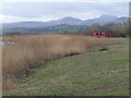 SH7977 : Benarth hide from Tal-y-fan hide, RSPB Conwy by Christine Johnstone