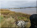 SX9686 : River Exe Estuary by John P Reeves