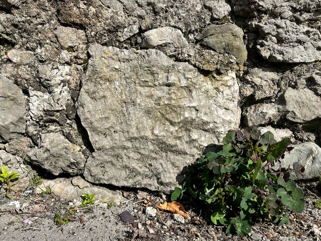 Benchmark, Milton Terrace, Grange Fell Road