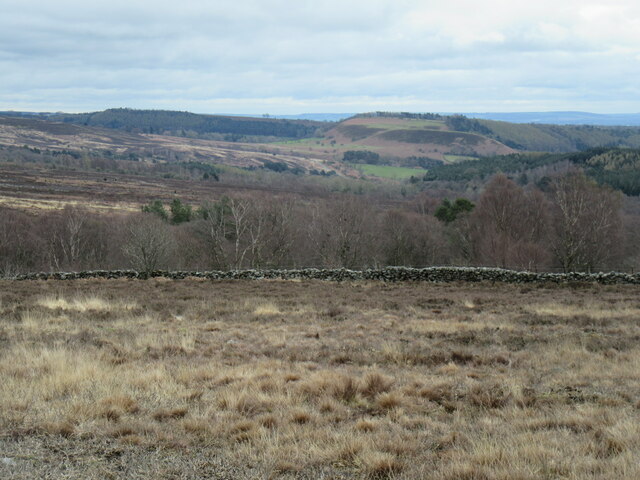 Harland Moor