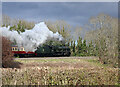 SO8979 : No. 46100 Royal Scot at Stakenbridge by Chris Allen