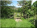 NY2432 : Gate on The Cumbria Way, High Close by Adrian Taylor