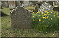 J5977 : Gravestone, Ballyvester by Rossographer