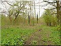 SJ6675 : Pipelines parallel to Marbury Lane by Stephen Craven