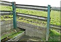 SE2018 : Cattle trough above Lower Hopton by Stephen Craven