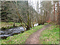 NT3337 : Path by the Leithen Water by Jim Barton