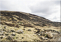  : Bouldery slope above Glen Beanie by Trevor Littlewood