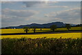 SJ3123 : View south to Breidden Hill, Woolston Bank by Christopher Hilton