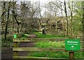 NZ1456 : Entrance to Pontburn Woods by Robert Graham