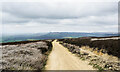 NZ6005 : Hill road on Tidy Brown Hill by Trevor Littlewood