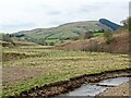 SK1489 : Tree planting in the Woodlands Valley by Ian Calderwood