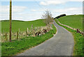 NY0974 : This way leads to Little Dalton Kirk by Mary and Angus Hogg