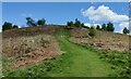 SJ2913 : Path ascending Middletown Hill by Mat Fascione