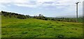 SE0888 : Cows in field south of School House Farm by Luke Shaw