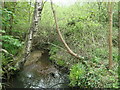 SU4511 : Upstream from a footbridge, Shoreburs Greenway by Christine Johnstone