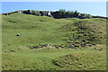 SO1517 : Crags north of disused quarry by M J Roscoe