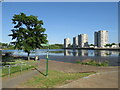 TQ4780 : Green Chain Walk, Thamesmead by Malc McDonald