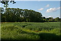 TM2061 : Looking up the Deben valley along Thorpe Lane by Christopher Hilton