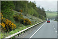 SX7872 : Eastbound A38 between Goodstone and Bickington by David Dixon