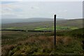 NY8242 : Fingerpost in Weardale Forest by Chris Heaton