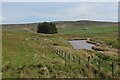 NY8242 : Weardale Way approaching Quarry Hill by Chris Heaton