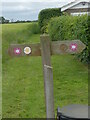 TG2829 : Weavers Way Signpost at end of Thirlby Road by David Pashley