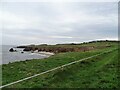 NZ4064 : Whitburn Coastal Park by Robert Graham